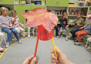 Projekt „Jesienne tajemnice przyrody” w gr. IV