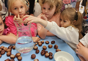 Projekt „Jesienne tajemnice przyrody” w gr. IV