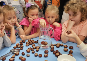 Projekt „Jesienne tajemnice przyrody” w gr. IV