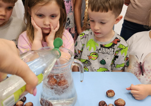 Projekt „Jesienne tajemnice przyrody” w gr. IV