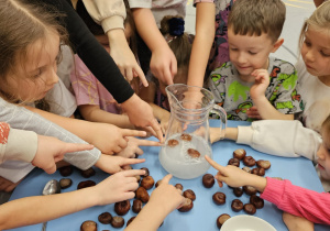 Projekt „Jesienne tajemnice przyrody” w gr. IV
