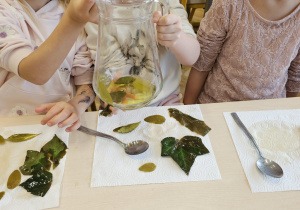 Projekt „Jesienne tajemnice przyrody” w gr. IV