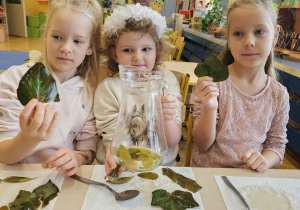 Projekt „Jesienne tajemnice przyrody” w gr. IV