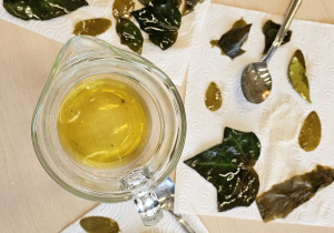 Projekt „Jesienne tajemnice przyrody” w gr. IV