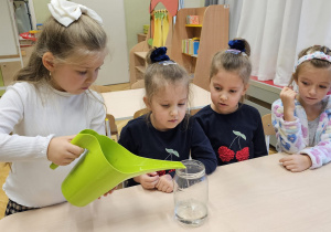 Projekt „Jesienne tajemnice przyrody” w gr. IV