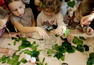 Projekt „Jesienne tajemnice przyrody” w gr. IV