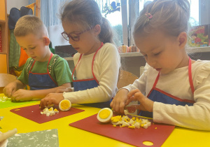 "Smaki jesieni" - projekt edukacyjny w gr. XI