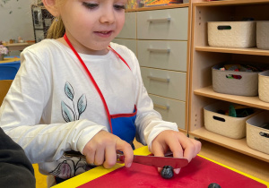 "Smaki jesieni" - projekt edukacyjny w gr. XI