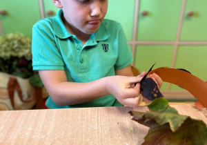 "Jesienna paleta barw"- projekt edukacyjny w grupie VI