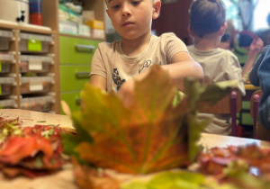 "Jesienna paleta barw"- projekt edukacyjny w grupie VI