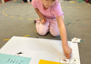 Projekt "Poznajemy ptaki zimą"