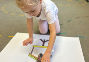 Projekt "Poznajemy ptaki zimą"