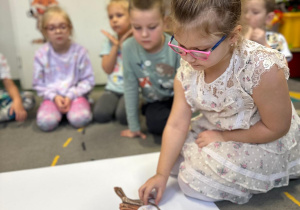 Projekt "Poznajemy ptaki zimą"