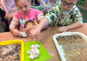 Projekt "Poznajemy ptaki zimą"