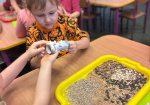 Projekt "Poznajemy ptaki zimą"