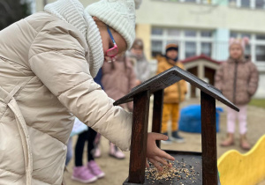 Projekt "Poznajemy ptaki zimą"