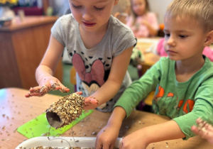 Projekt "Poznajemy ptaki zimą"