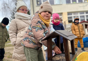 Projekt "Poznajemy ptaki zimą"