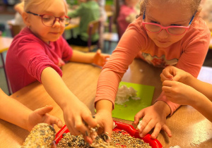 Projekt "Poznajemy ptaki zimą"