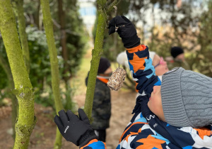 Projekt "Poznajemy ptaki zimą"