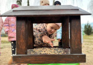 Projekt "Poznajemy ptaki zimą"