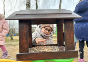 Projekt "Poznajemy ptaki zimą"