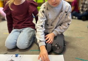 Projekt "Poznajemy ptaki zimą"