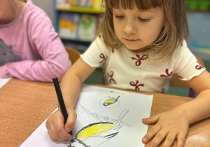 Projekt "Poznajemy ptaki zimą"