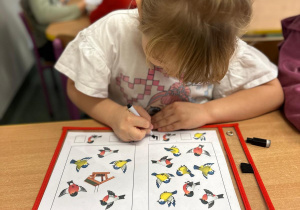 Projekt "Poznajemy ptaki zimą"