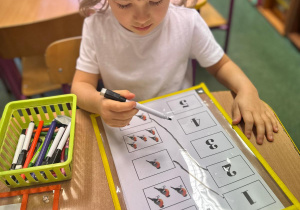 Projekt "Poznajemy ptaki zimą"