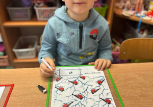 Projekt "Poznajemy ptaki zimą"