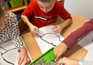 Projekt "Poznajemy ptaki zimą"