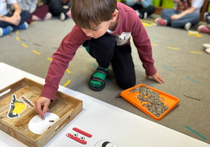 Projekt "Poznajemy ptaki zimą"