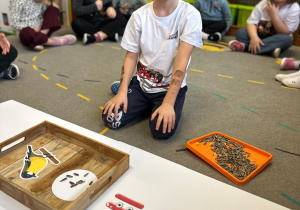 Projekt "Poznajemy ptaki zimą"