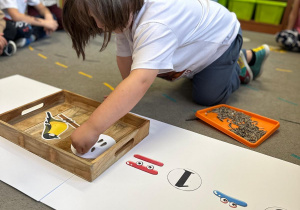 Projekt "Poznajemy ptaki zimą"