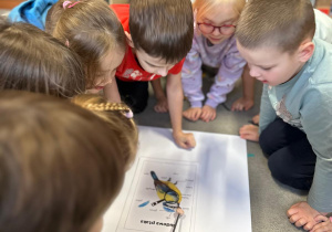Projekt "Poznajemy ptaki zimą"