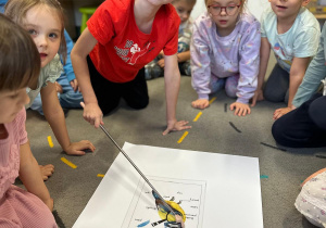 Projekt "Poznajemy ptaki zimą"