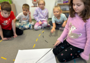 Projekt "Poznajemy ptaki zimą"