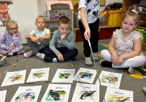 Projekt "Poznajemy ptaki zimą"