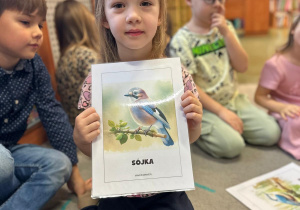 Projekt "Poznajemy ptaki zimą"