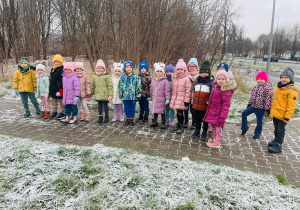 Dzień Pluszowego Misia i wizyta w bibliotece - gr. XI