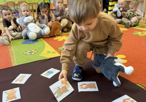 Święto dziś ma Pluszowy Miś