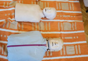 Pierwsza Pomoc w Małym Świecie