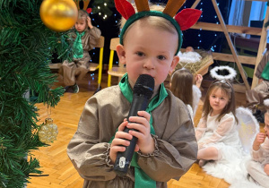 „Choinka w Aniołkowie”- spotkanie świąteczne w grupie II