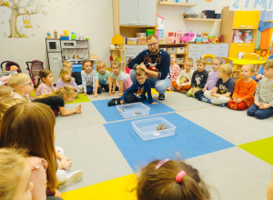 O gadzim świecie, czyli słów kilka o... żółwiach w gr. XI i XII