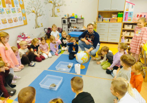 O gadzim świecie, czyli słów kilka o... żółwiach w gr. XI i XII