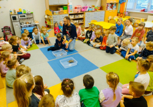 O gadzim świecie, czyli słów kilka o... żółwiach w gr. XI i XII