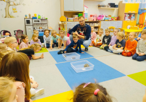 O gadzim świecie, czyli słów kilka o... żółwiach w gr. XI i XII