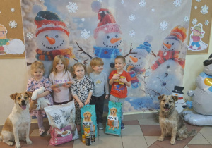 Schroniska dla Bezdomnych Zwierząt w Koninie „Bezdomniś”