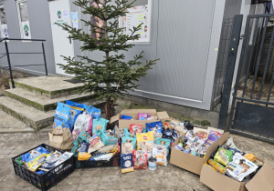 Schroniska dla Bezdomnych Zwierząt w Koninie „Bezdomniś”